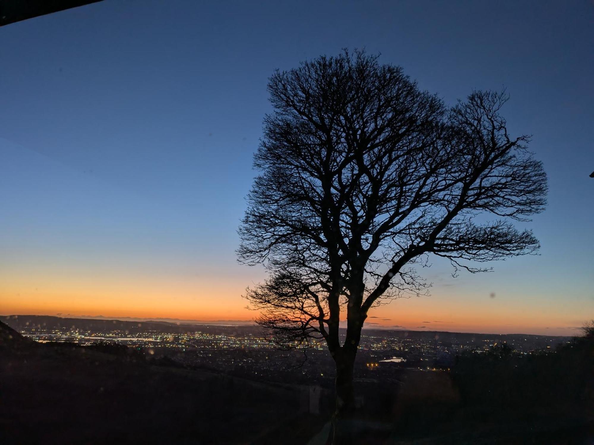 Cavehill City View 贝尔法斯特 外观 照片